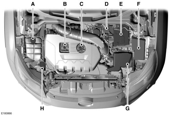 Panoramica del vano motore - 2.0L EcoBoost 