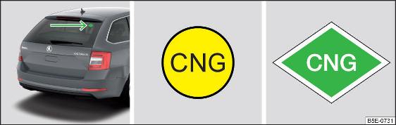 Fig. 314 Posizione dell'etichetta CNG / etichetta CNG