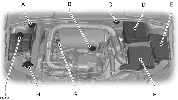 Panoramica del vano motore - 1.0L EcoBoost 