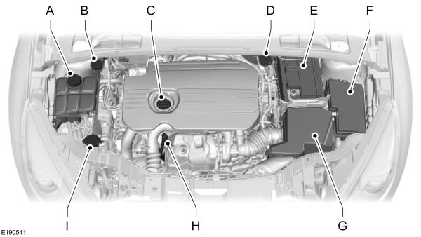 Panoramica del vano motore - 1.5L Duratorq TDCi Diesel 