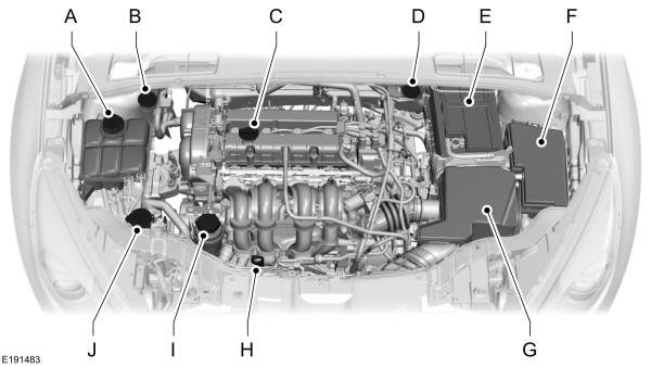 Panoramica del vano motore - 1.6L Duratec-16V (Sigma) 