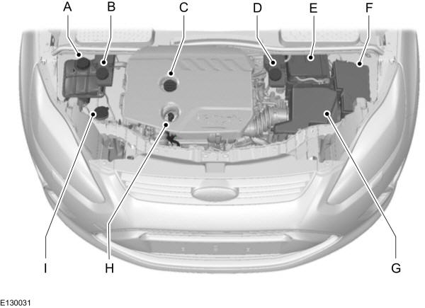 Panoramica del vano motore - 1.6L Duratorq-TDCi (DV) Diesel 