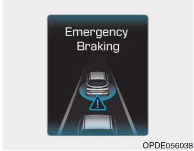 Frenata emerg.