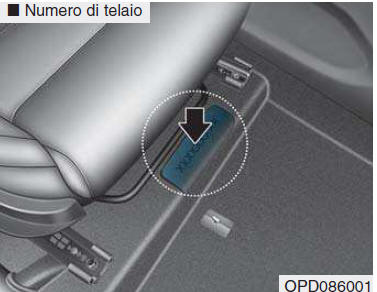 NUMERO DI IDENTIFICAZIONE VEICOLO (VIN)