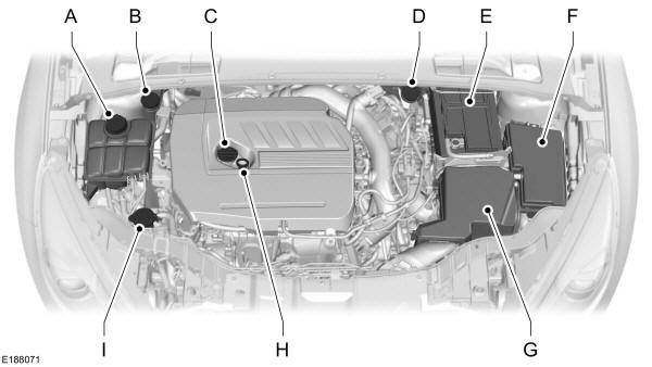 Panoramica del vano motore - 1.5L EcoBoost 