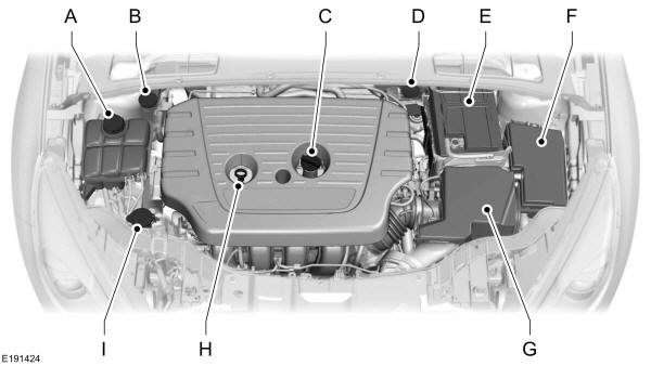 Panoramica del vano motore - 2.0L Duratec-HE (MI4) 