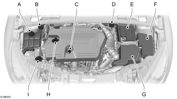 Panoramica del vano motore - 2.0L Duratorq-TDCi (DW) Diesel 