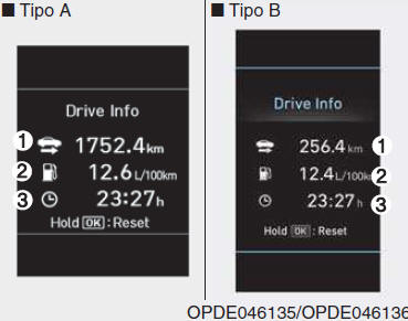 Display Informazioni di gui