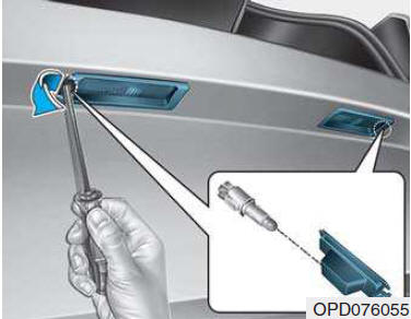 Sostituzione lampadina luce targa